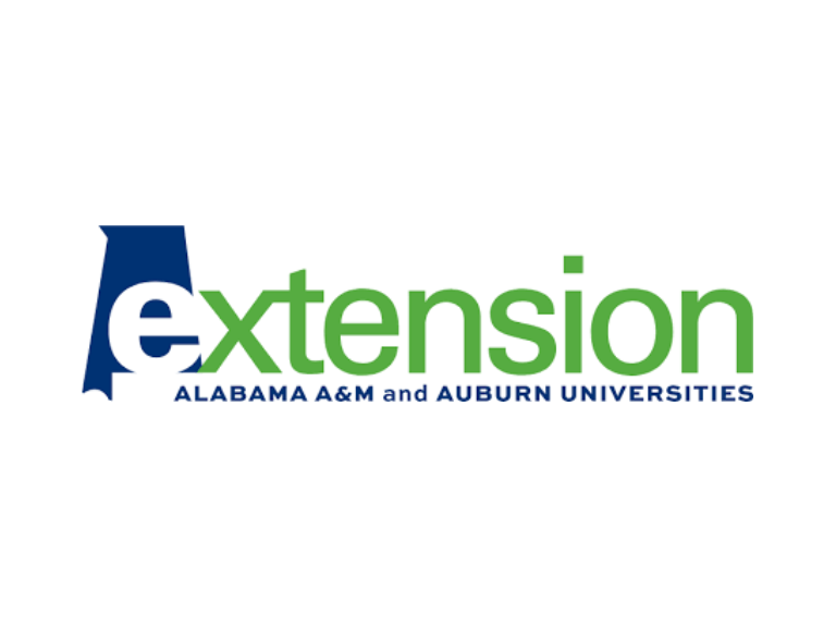 Auburn financial management officials share money tips for new graduates