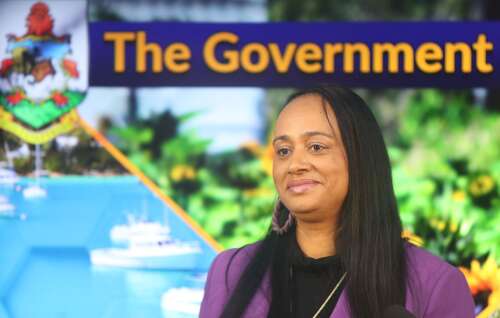 Parents get support with coaching, skills programmes – The Royal Gazette