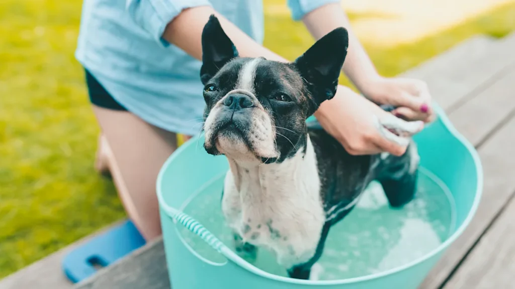 How To Escape 3 Beginner Side Gig Surprises That Shrink Profit