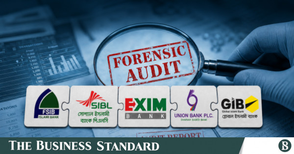 Five merged banks under special forensic audit; finance minister vows action against those responsible